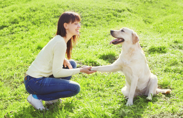 10 Things You Might Not Know About Clicker Training Your Dog