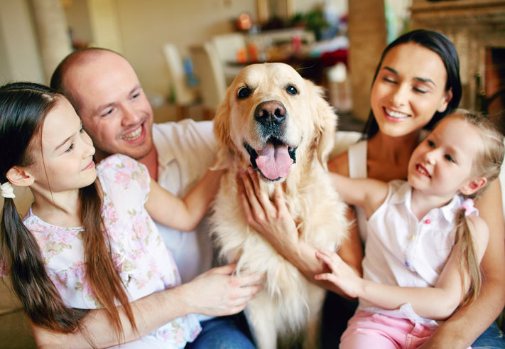 How to Choose the Right Dog for Your Family