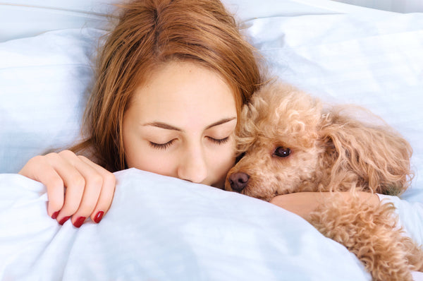 Should Your Dog Sleep In Your Bed With You?