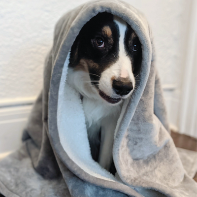 Waterproof Plush Dog Blanket